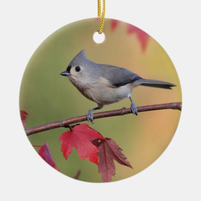 Tufted Titmice Ceramic Tree Decoration (Front)
