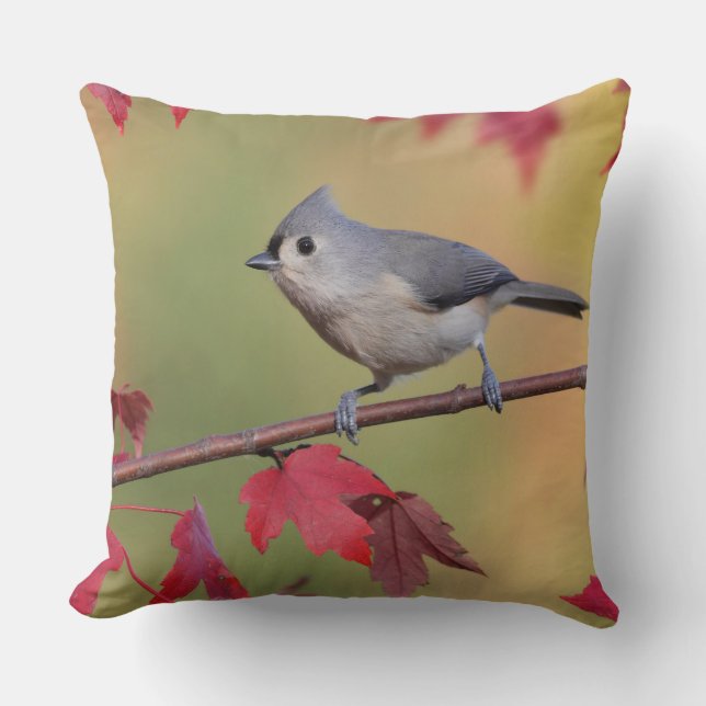 Tufted Titmice Cushion (Front)