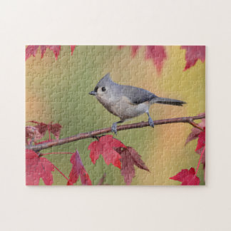Tufted Titmice Jigsaw Puzzle