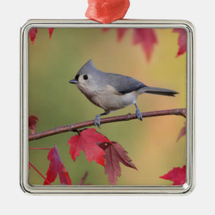 Tufted Titmice Metal Tree Decoration