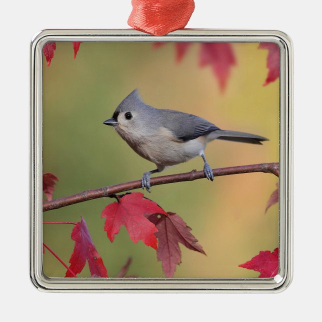 Tufted Titmice Metal Tree Decoration (Front)