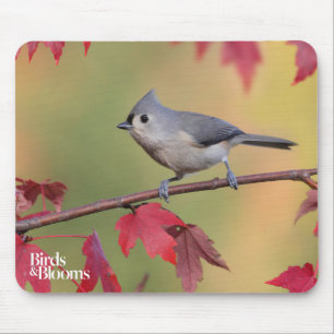 Tufted Titmice Mouse Mat