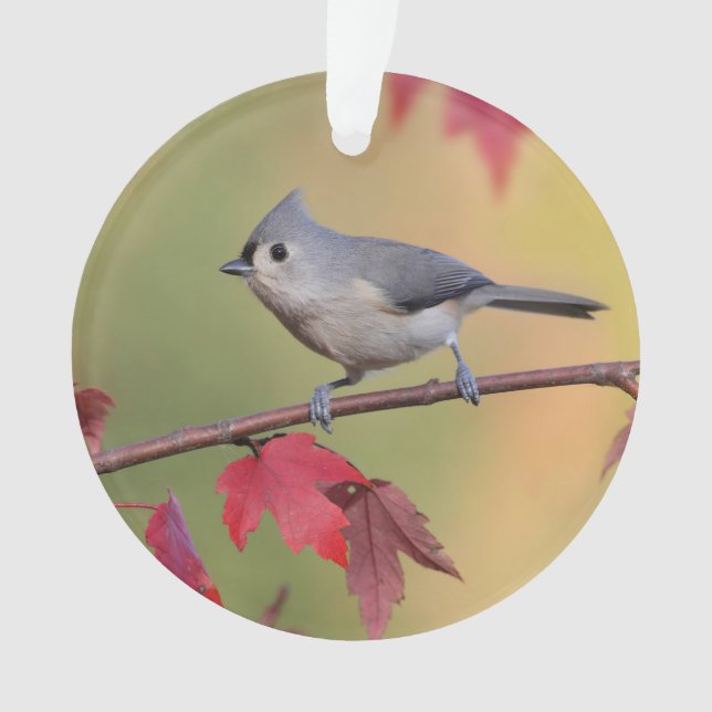 Tufted Titmice Ornament (Front)