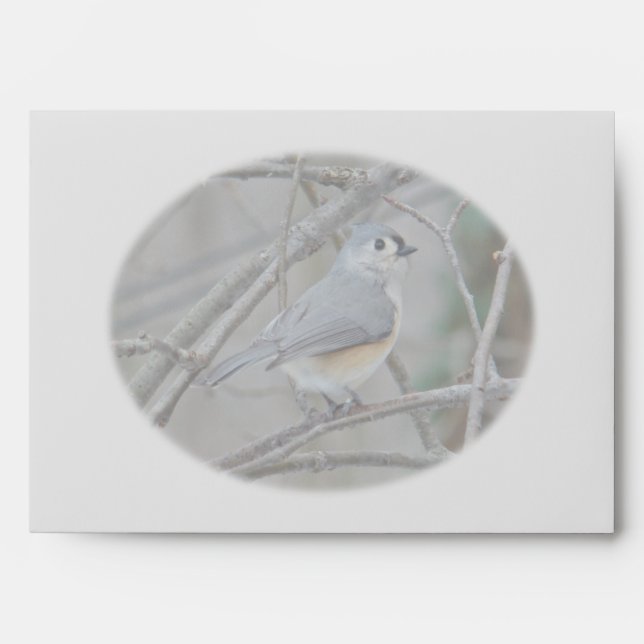 Tufted Titmouse (Baeolophus bicolor) Get Well Soon Envelope (Front)