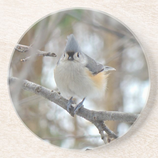 Tufted Titmouse (Baeolophus bicolor) Items Coaster (Front)