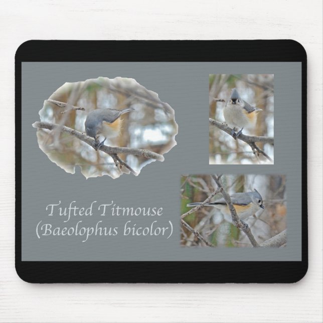 Tufted Titmouse (Baeolophus bicolor) Items Mouse Mat (Front)