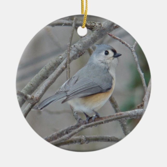 Tufted Titmouse (Baeolophus bicolor) Ornament (Front)