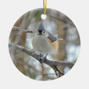 Tufted Titmouse (Baeolophus bicolor) Ornament