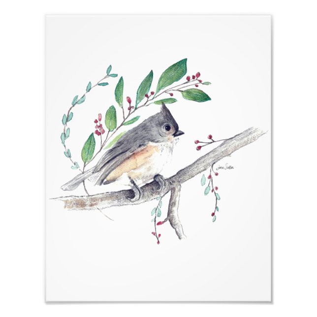 Tufted Titmouse Bird Art Photo Print (Front)