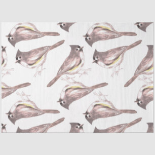 Tufted titmouse birds watercolor art tissue paper