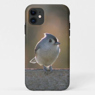 Tufted Titmouse iPhone 11 Case