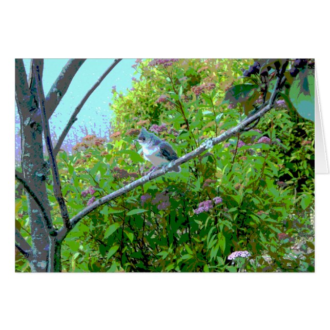 Tufted Titmouse Fledgling Baby Bird (Front Horizontal)