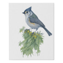 Tufted Titmouse in Watercolor