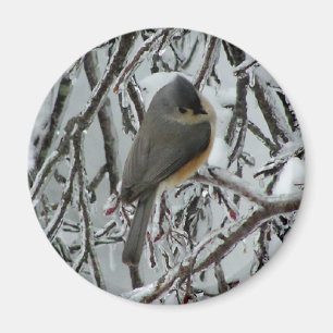 Tufted Titmouse Magnet