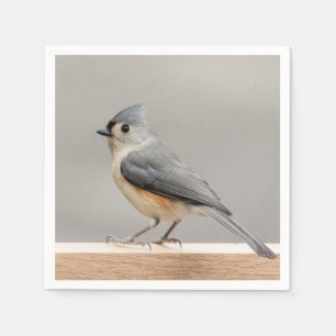 Tufted Titmouse Napkin