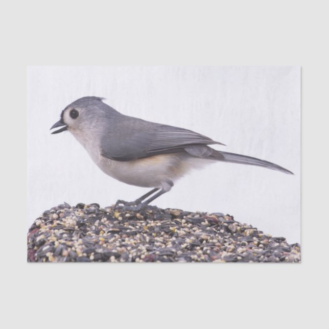 Tufted Titmouse On Bird Seed Tissue Paper (Front)
