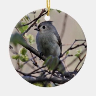 Tufted Titmouse Ornament