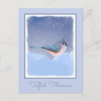 Tufted Titmouse Painting - Cute Original Dog Art