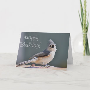 Tufted titmouse photo card