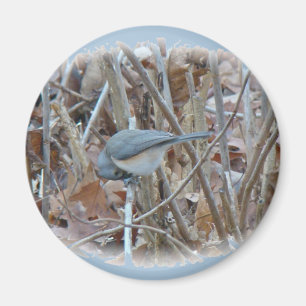 Tufted Titmouse Songbird Coordinating Items Magnet