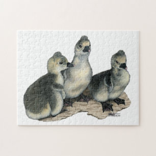 Tufted Toulouse Goslings Jigsaw Puzzle