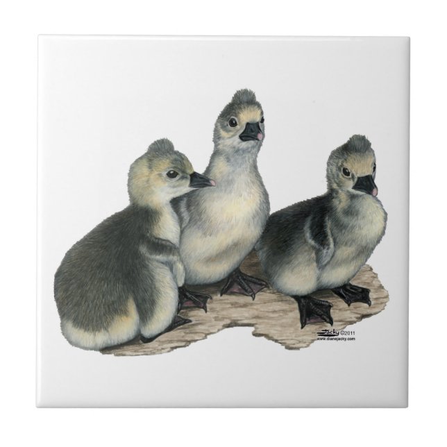 Tufted Toulouse Goslings Tile (Front)