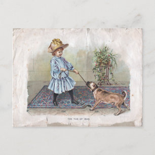 Tug of War Postcard