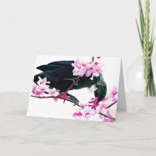 Tui Bird Feeding on Cherry Blossoms Card