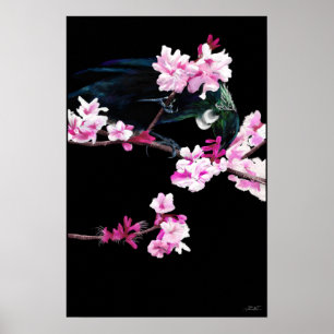 Tui Bird feeding On Cherry Blossoms - (LARGE) Poster