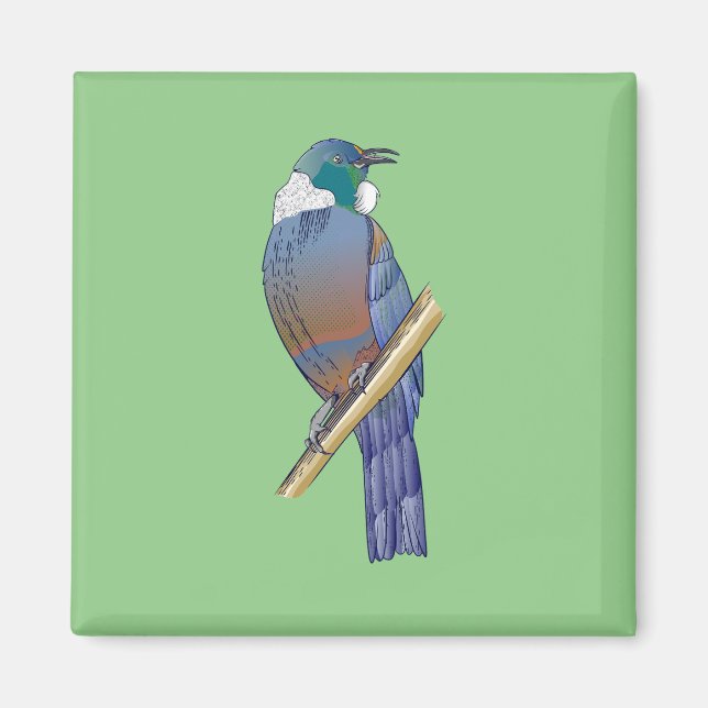 Tui New Zealand Bird Magnet (Front)