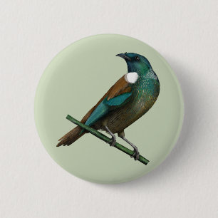 Tui New Zealands Bird 6 Cm Round Badge