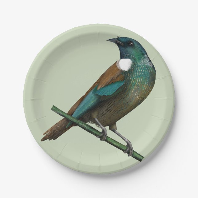 Tui New Zealands Bird Paper Plate (Front)