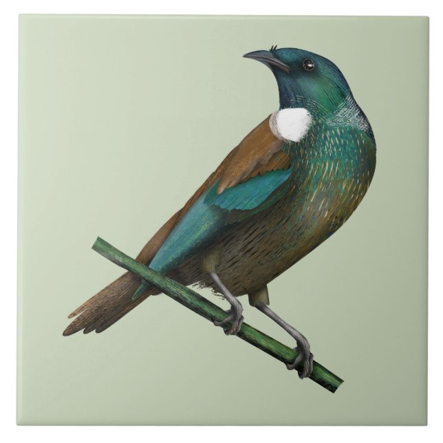 Tui New Zealands Bird Tile (Front)