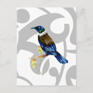 Tui NZ Bird Postcard
