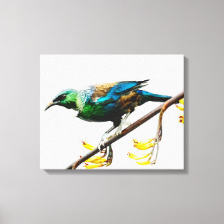 Tui on Yellow Flax original watercolour design Canvas Print