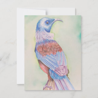 Tui - postcard