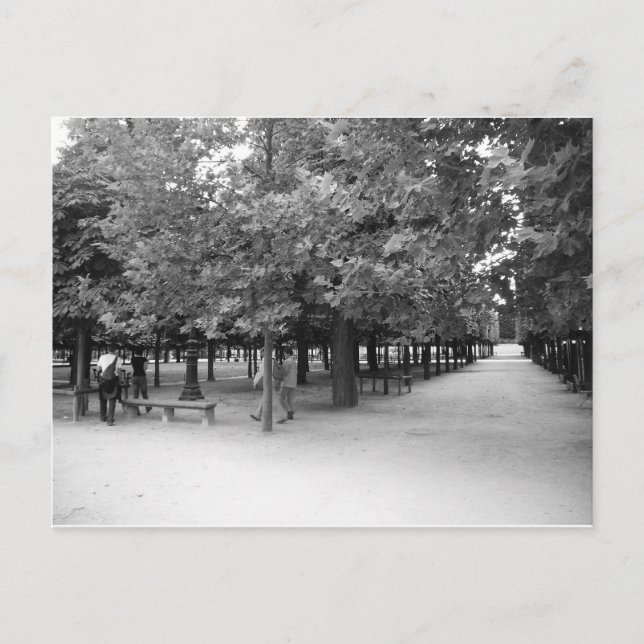 Tuileries - Bucolic Landscape Postcard (Front)