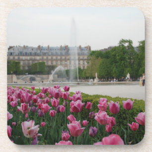 Tuileries Garden in bloom Coaster