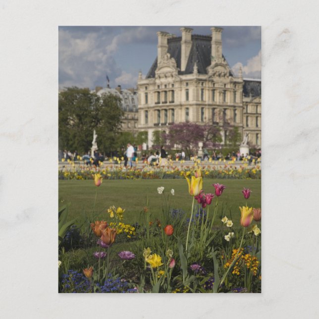 Tuileries Garden, Louvre, Paris, France Postcard (Front)
