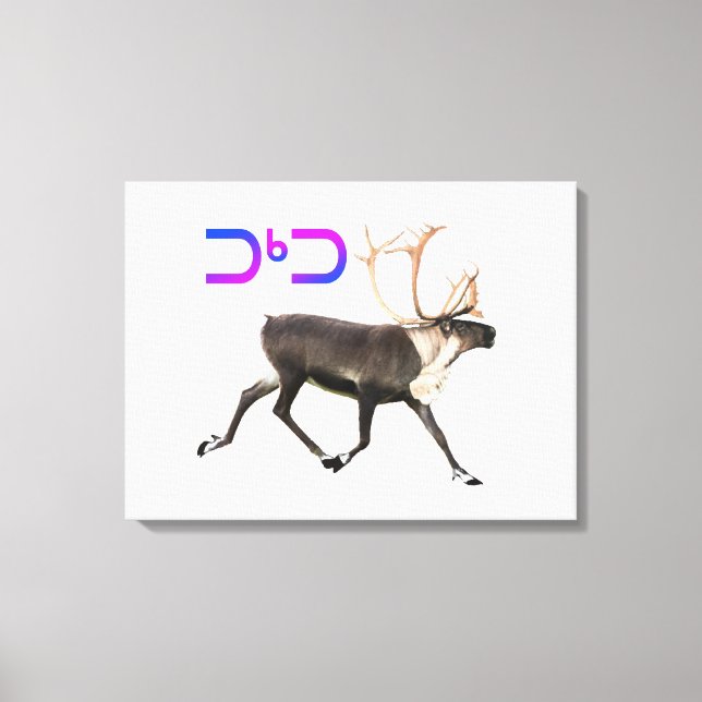 Tuktu - Caribou Canvas Print (Front)