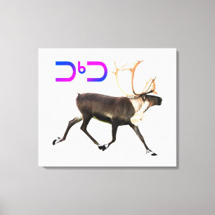 Tuktu - Caribou Canvas Print