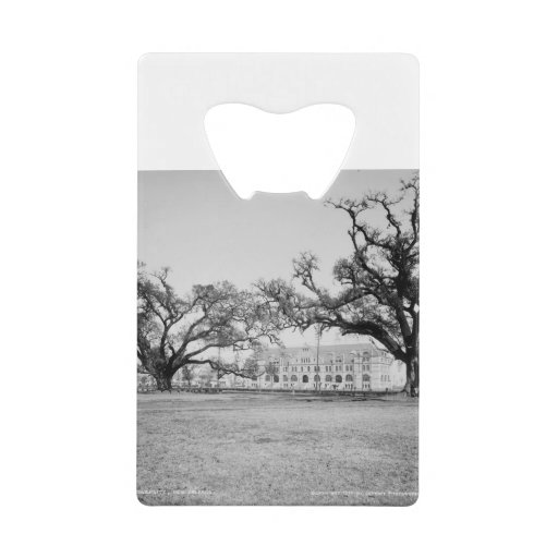 Image of Tulane University from Audubon Park, New Orleans