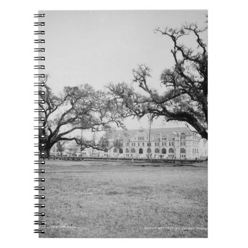 Tulane University from Audubon Park, New Orleans Notebook