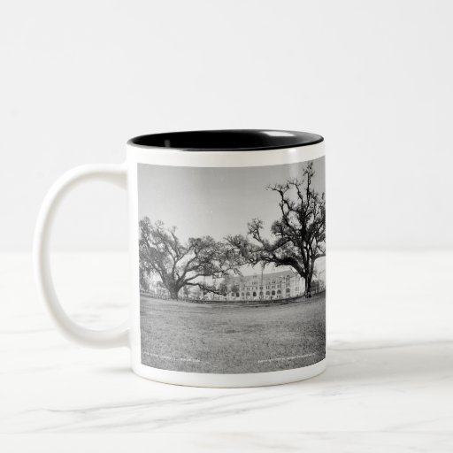 Tulane University from Audubon Park, New Orleans Two-tone Coffee Mug