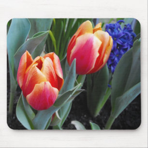 Tulip-A Flower of Love Mouse Mat