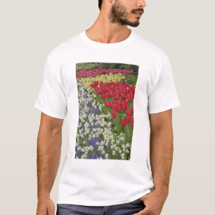 Tulip and daffodil garden, Keukenhof Gardens, T-Shirt