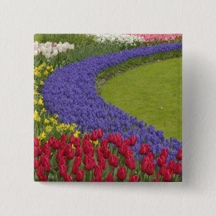Tulip and Grape Hyacinth and daffodil garden, 15 Cm Square Badge