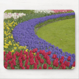 Tulip and Grape Hyacinth and daffodil garden, Mouse Mat