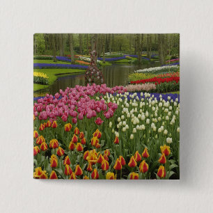 Tulip and hyacinth garden, Keukenhof Gardens, 15 Cm Square Badge