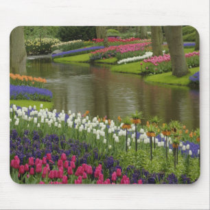 Tulip and hyacinth garden, Keukenhof Gardens, 2 Mouse Mat